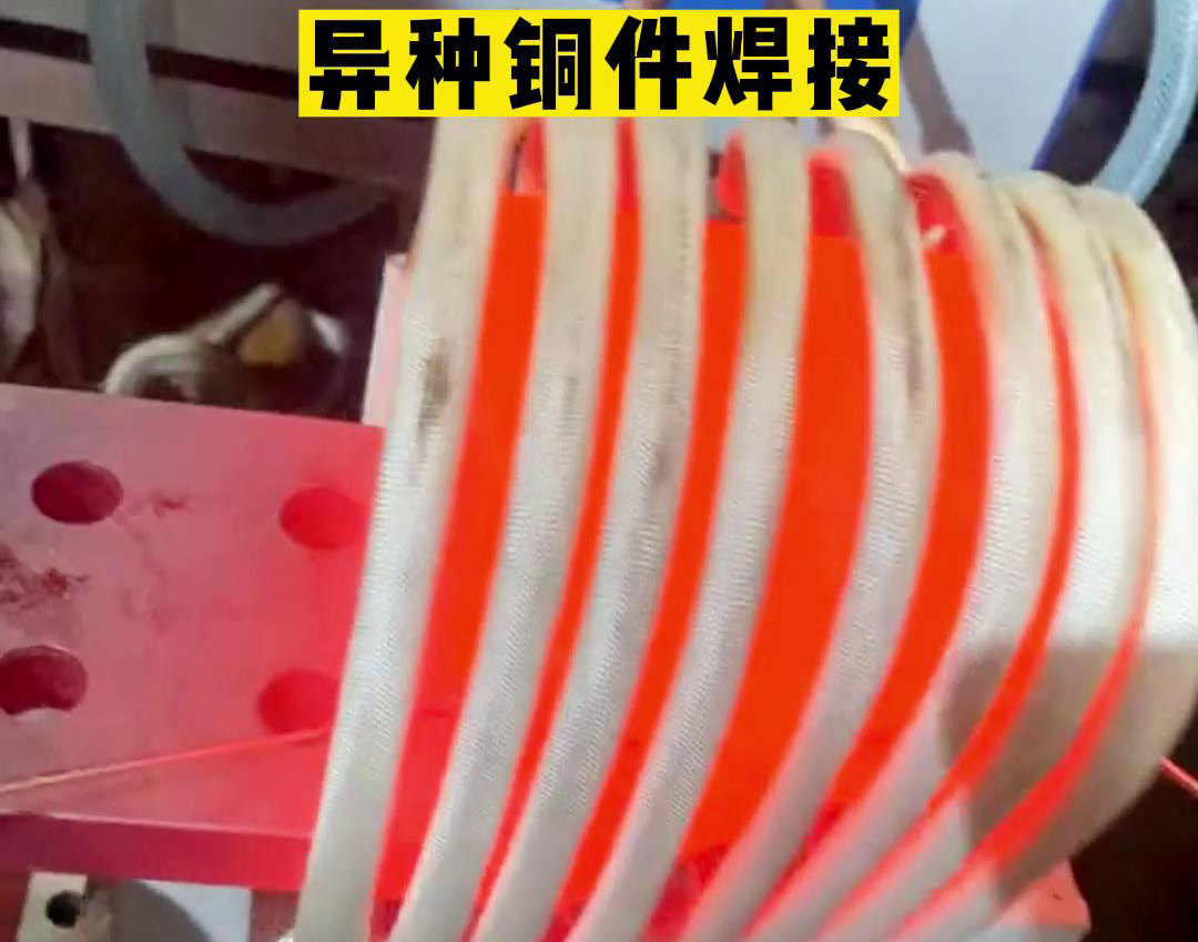 054F01016459E65405B6D2B9F095A044.jpg