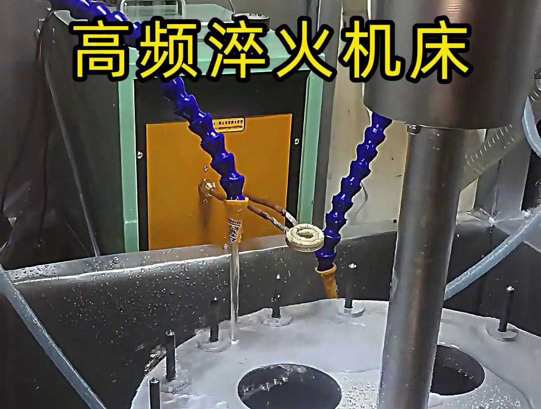 054F03086842938B3951FAC874086741.jpg